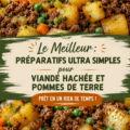 Plat savoureux de viande hachée et pommes de terre