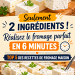 Photo d'un fromage fait maison réussi avec des ingrédients frais.