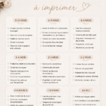 Un beau rétroplanning de mariage à imprimer avec des étapes détaillées.