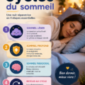 Illustration des 4 cycles du sommeil avec des infographies colorées
